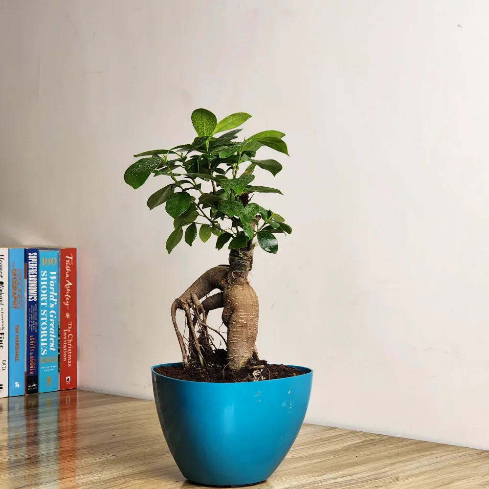 product-gallery
