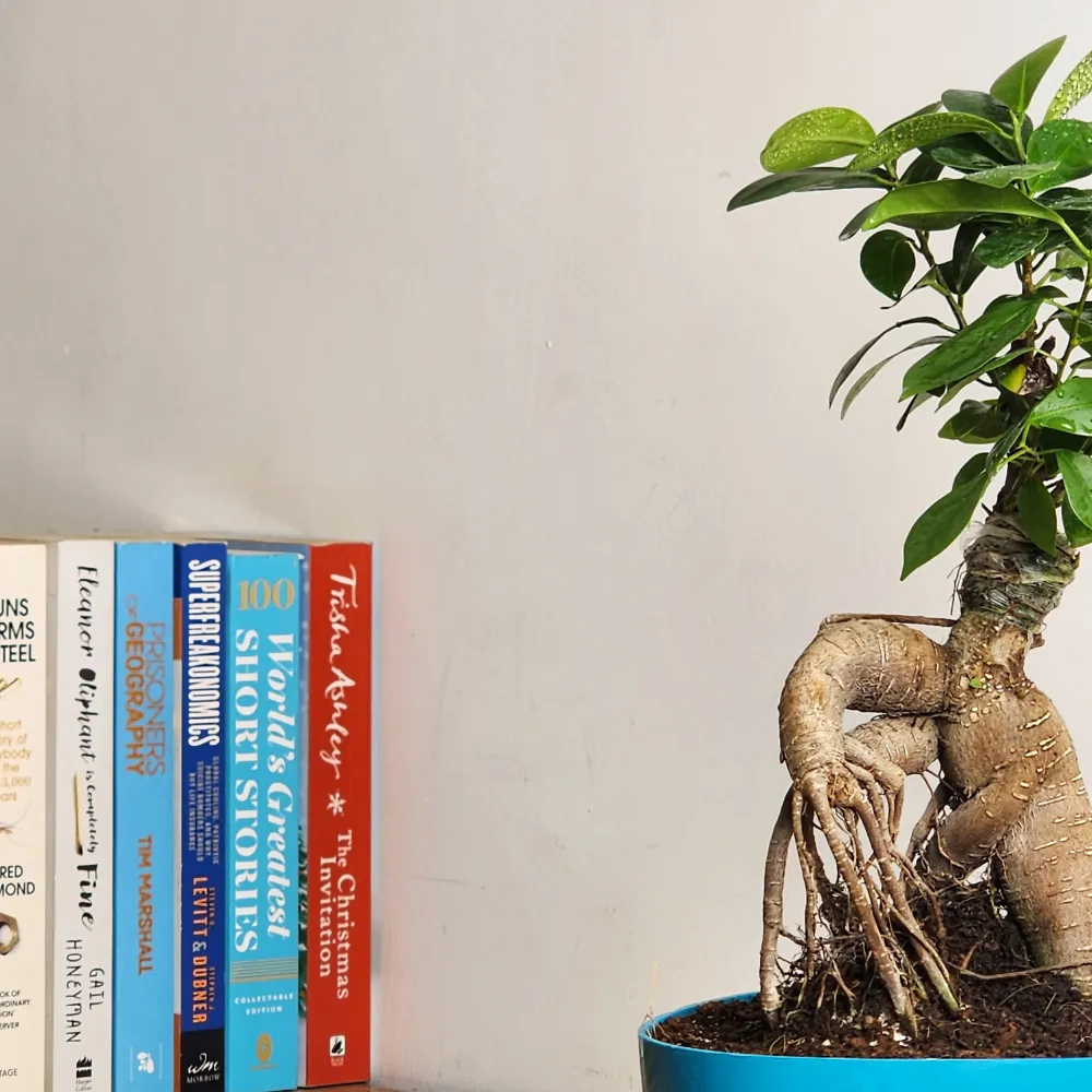 product-gallery