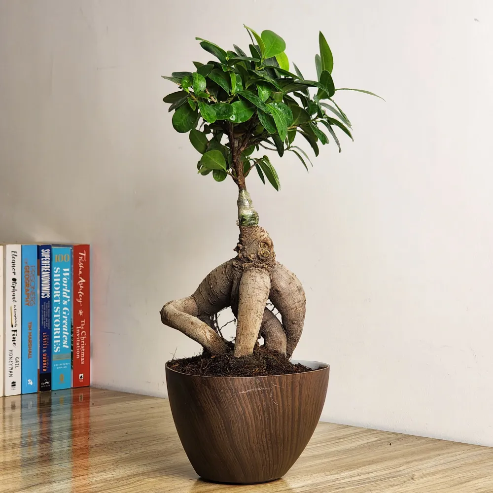 product-gallery