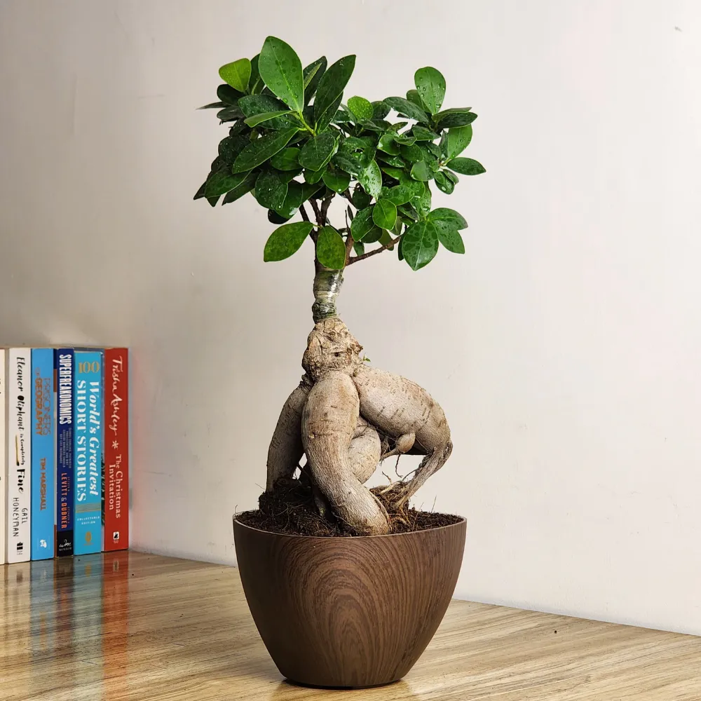 product-gallery