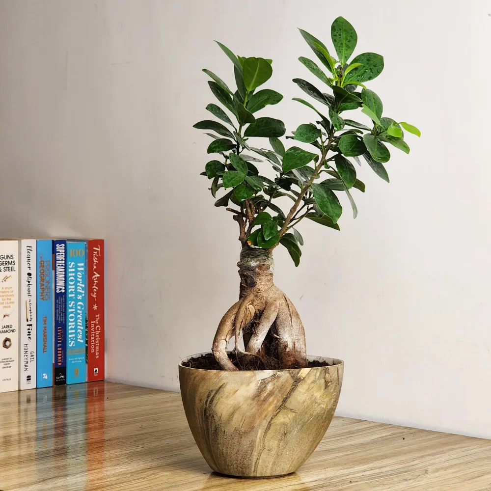 product-gallery