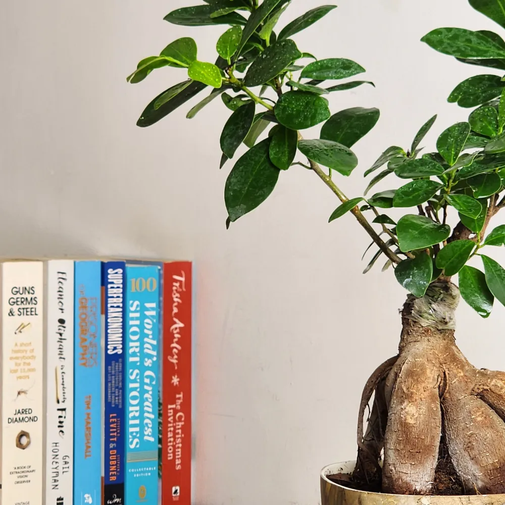 product-gallery