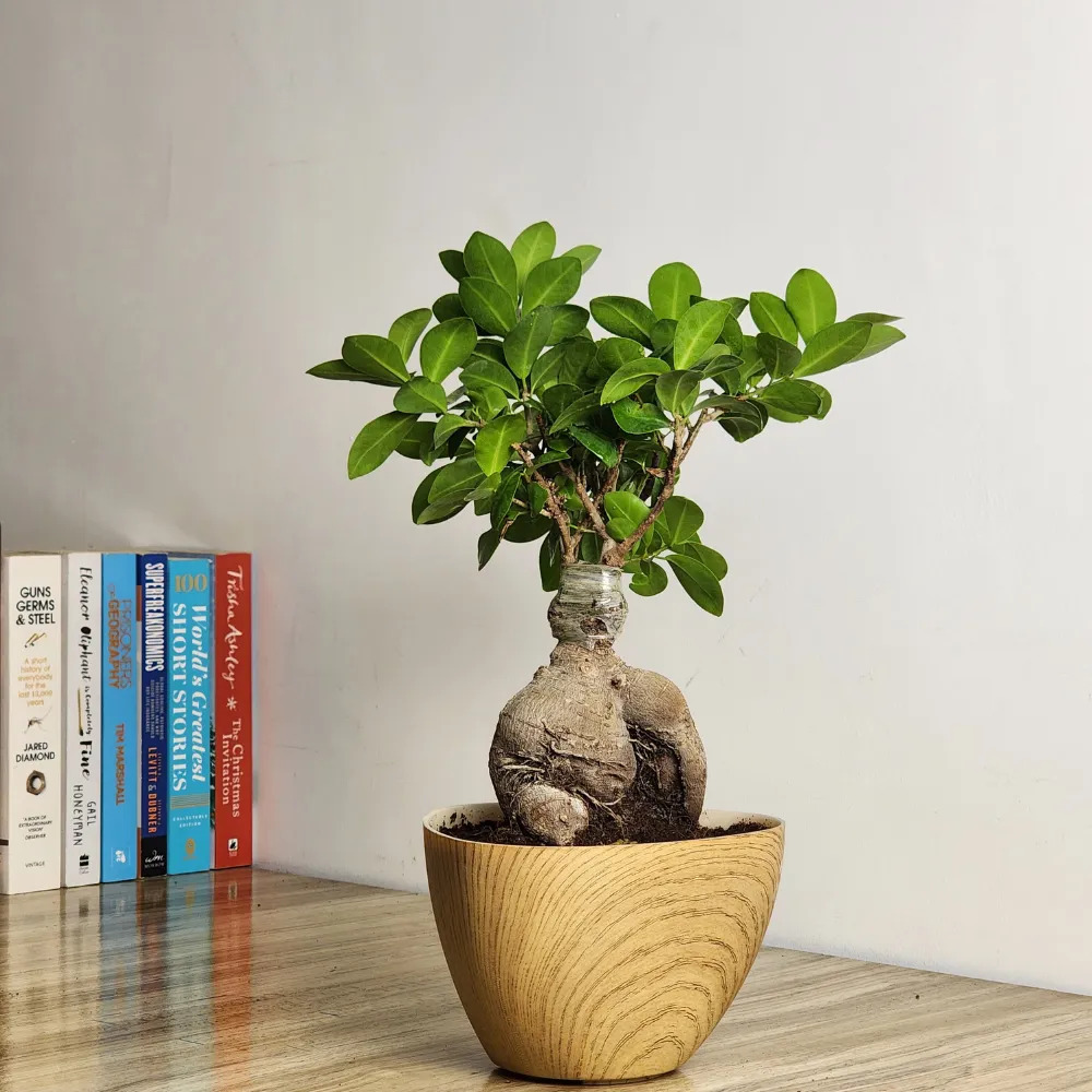 product-gallery