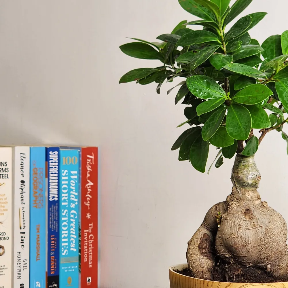 product-gallery