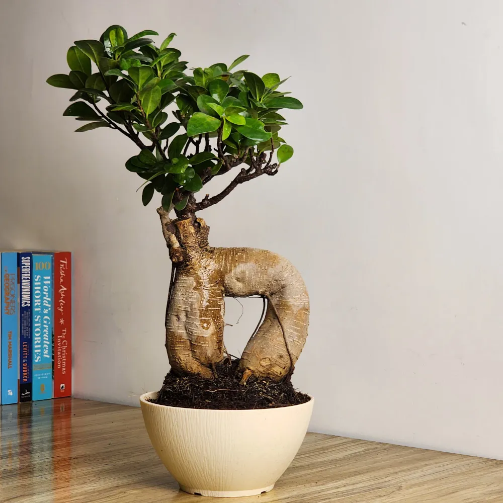 product-gallery