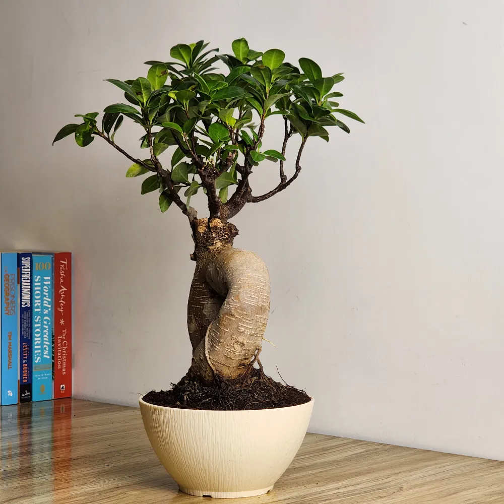 product-gallery