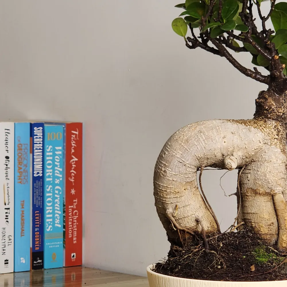 product-gallery