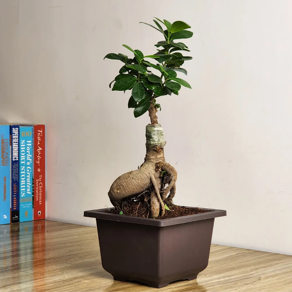 product-gallery