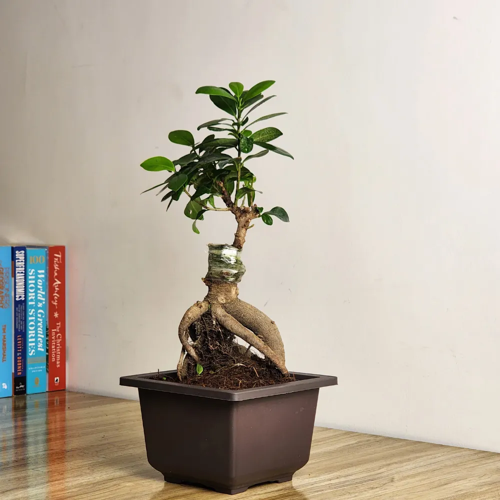 product-gallery