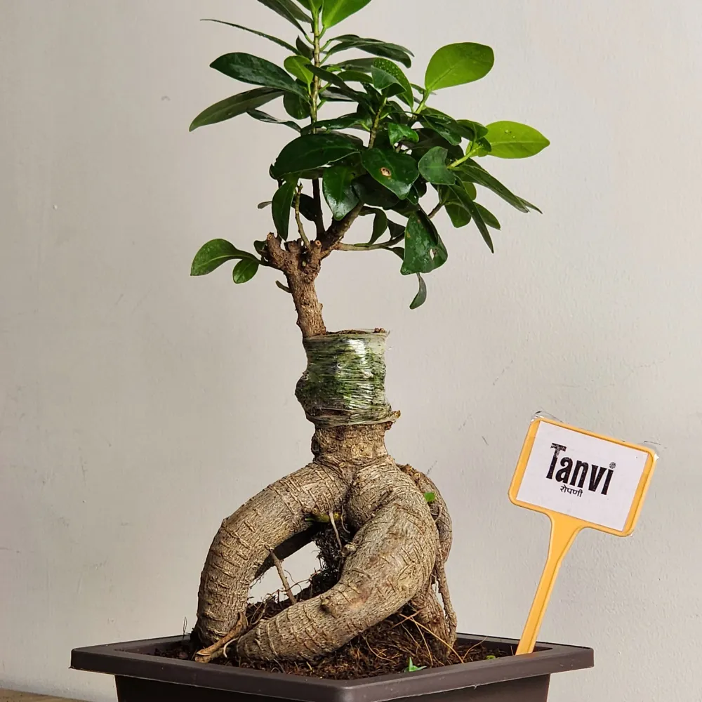 product-gallery