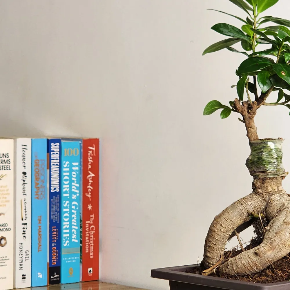 product-gallery