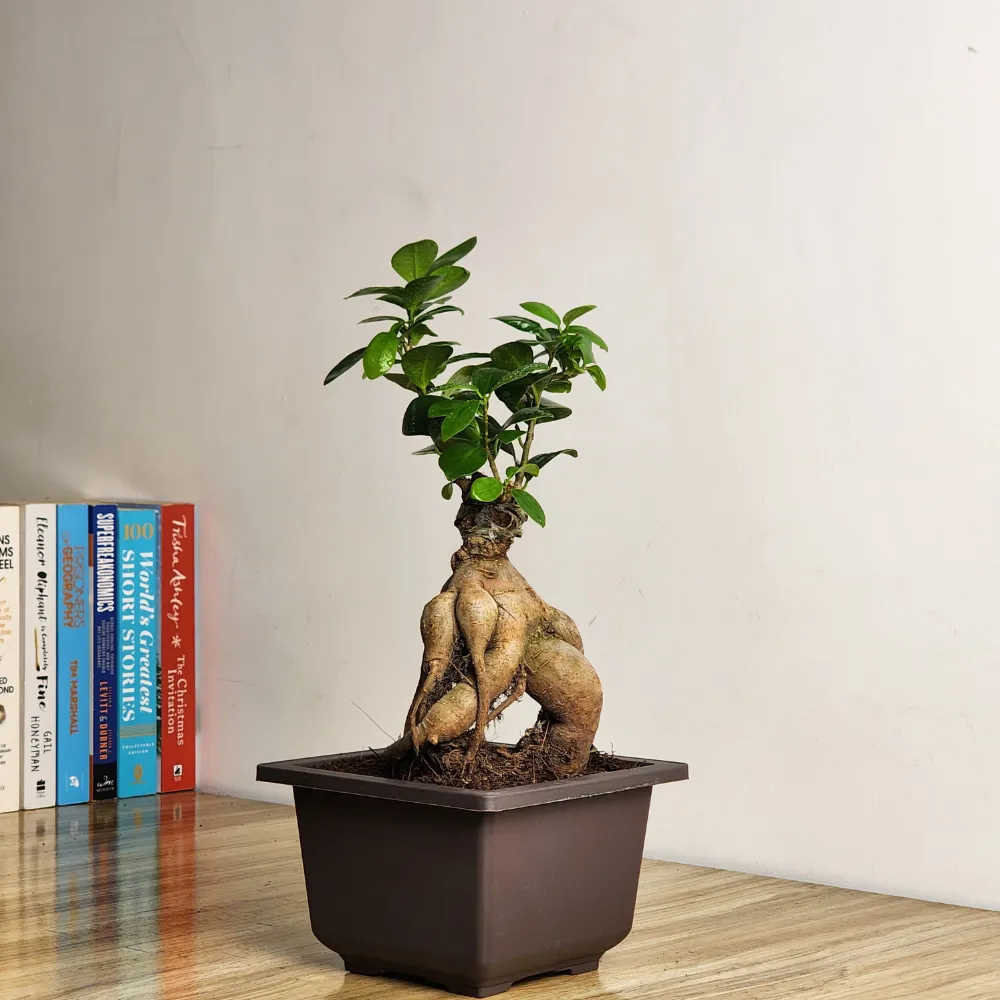 product-gallery
