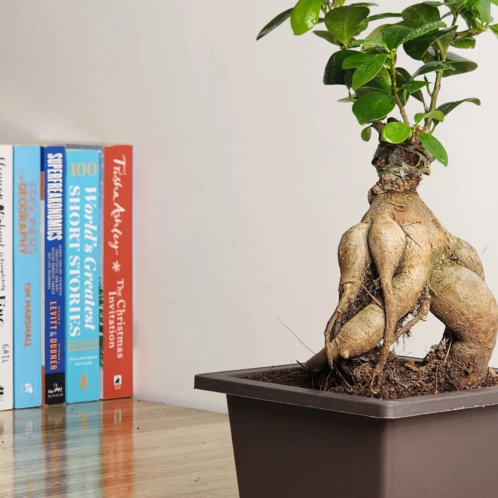 product-gallery