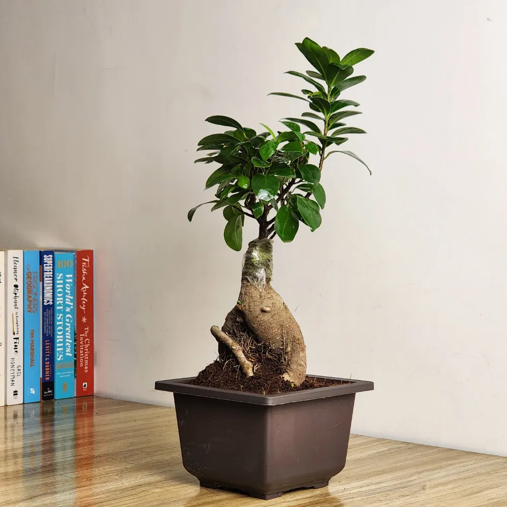 product-gallery