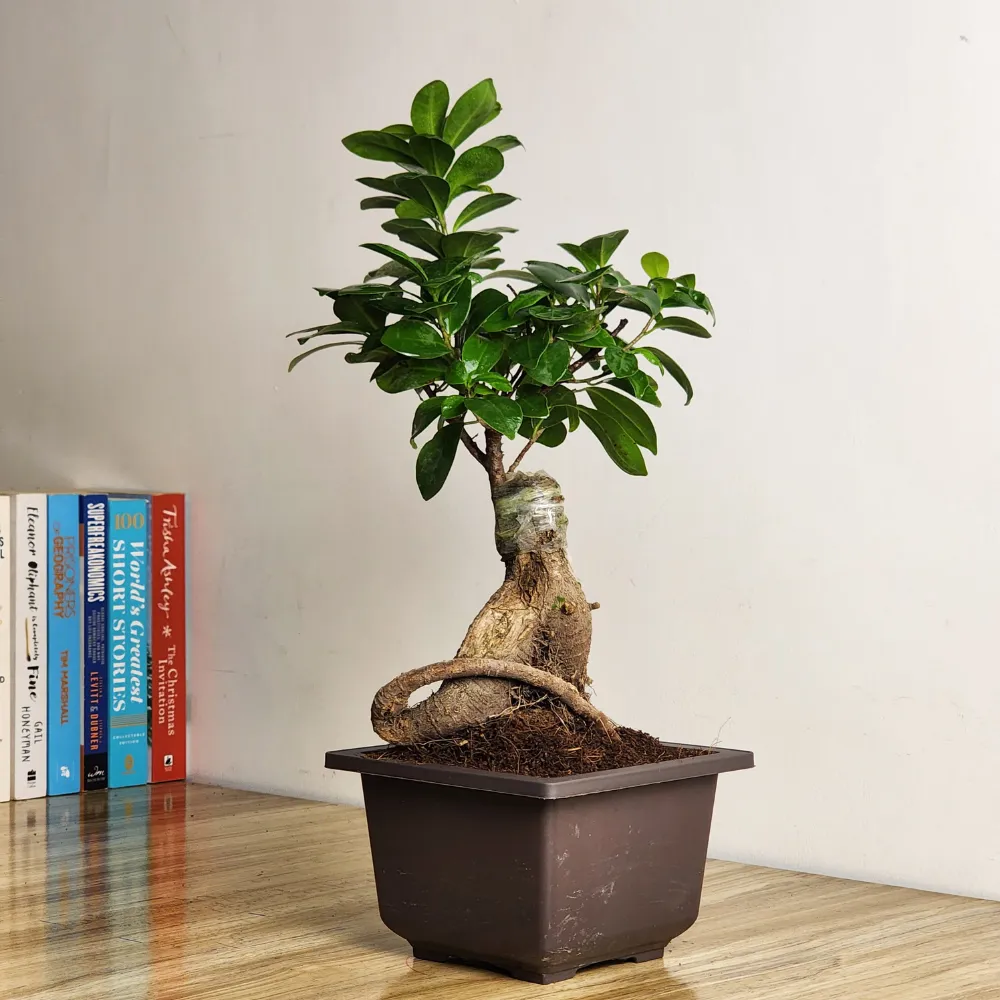 product-gallery