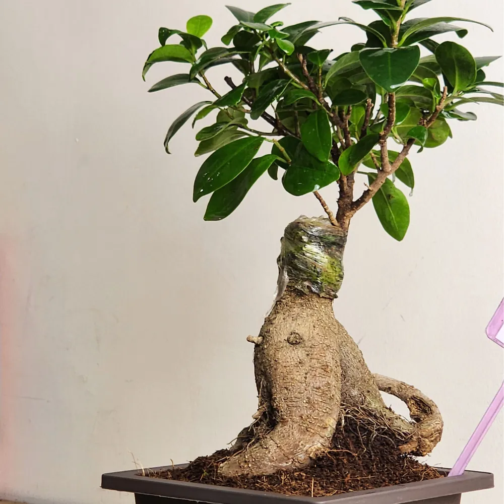 product-gallery