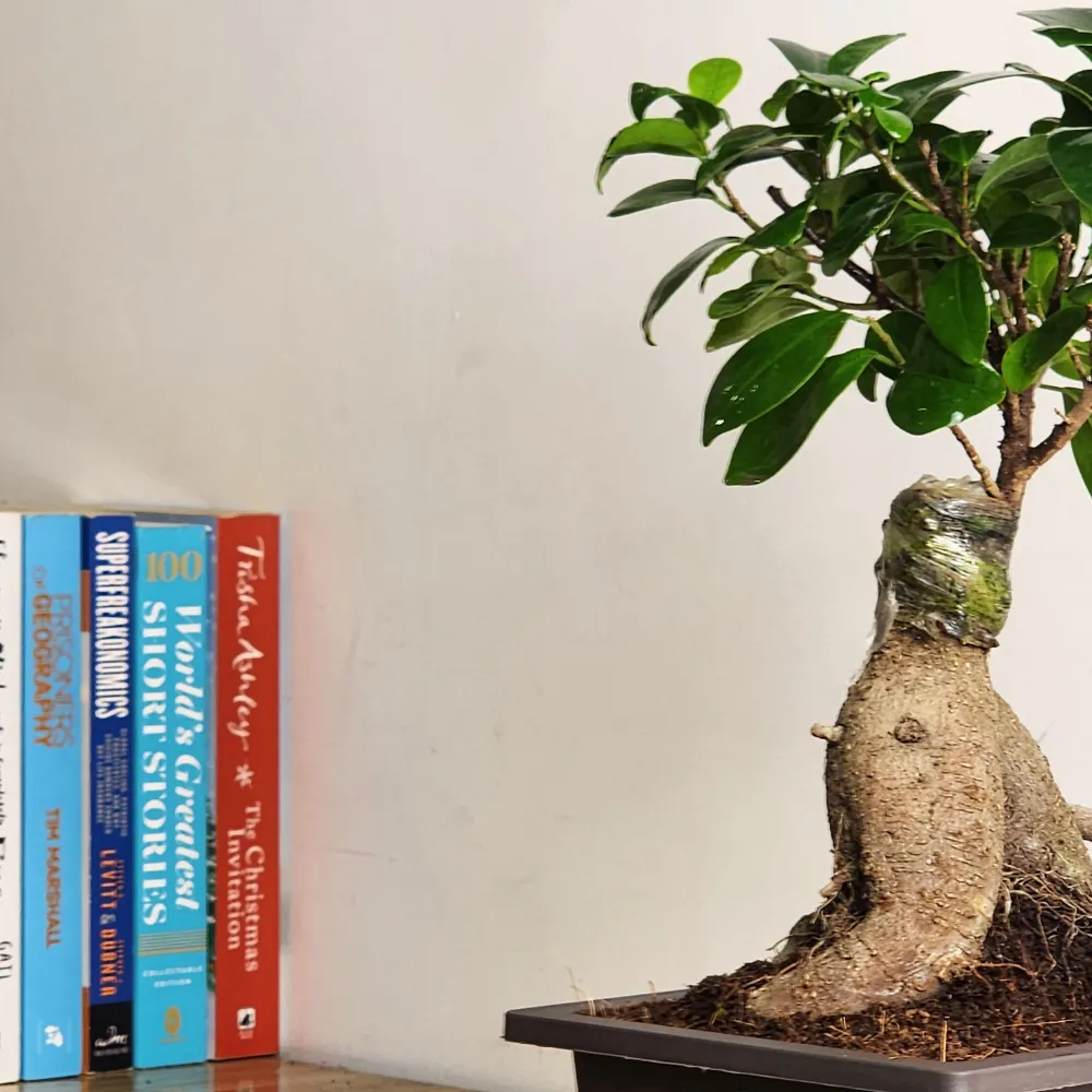 product-gallery