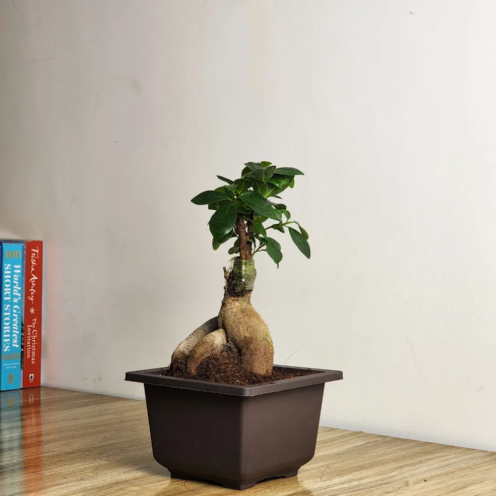 product-gallery