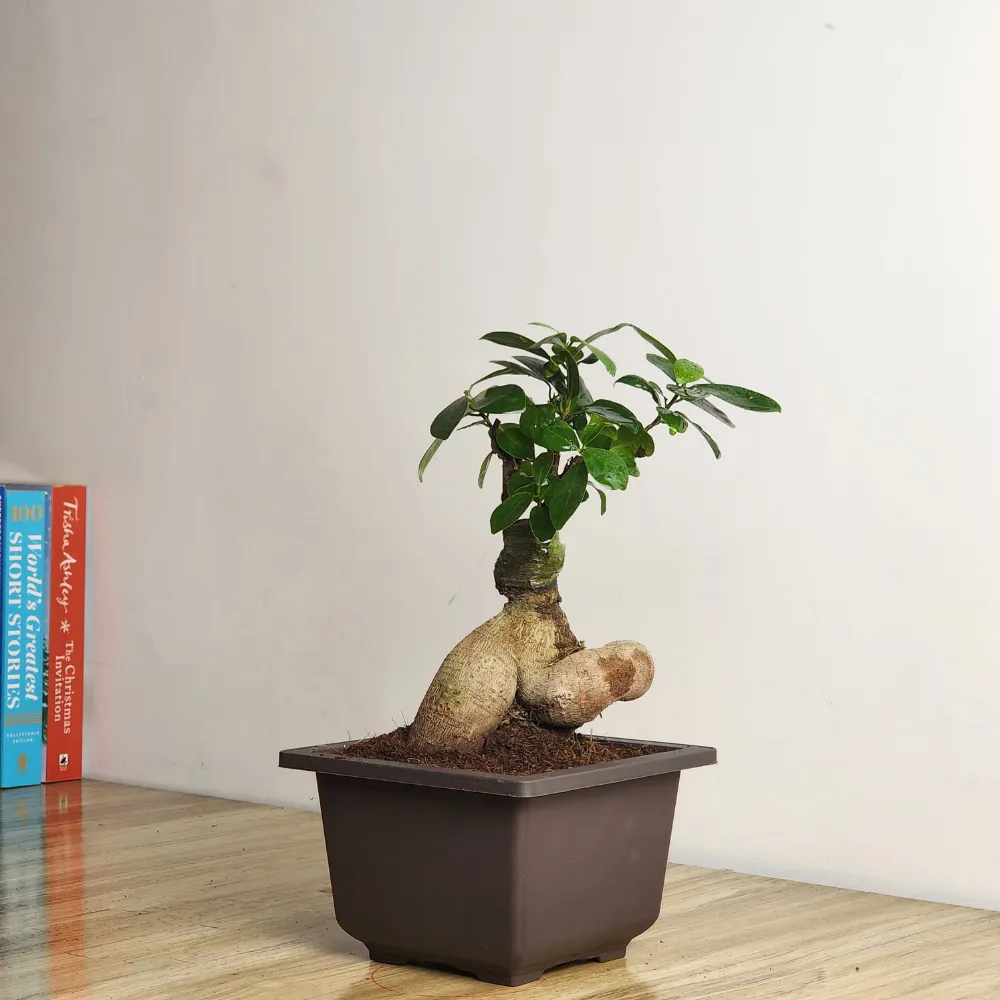product-gallery