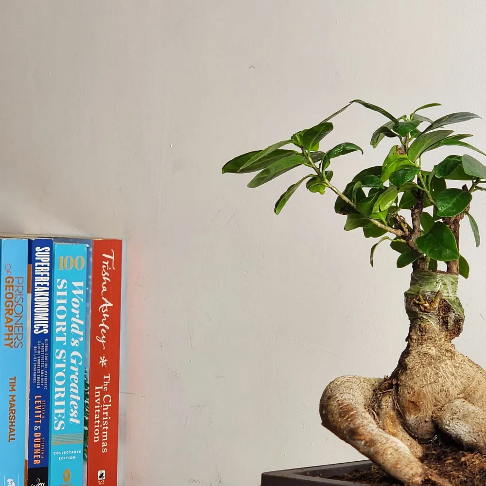 product-gallery