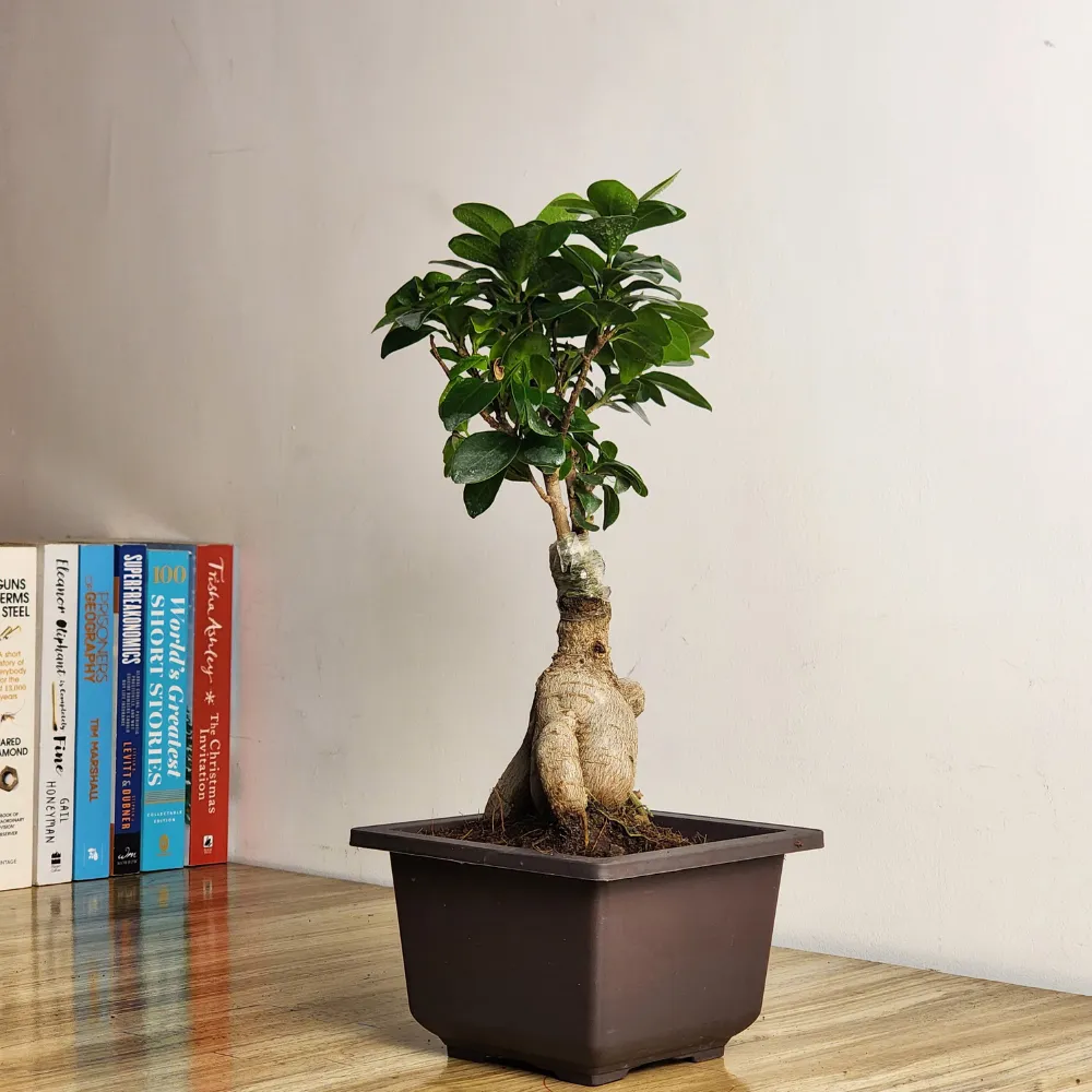 product-gallery