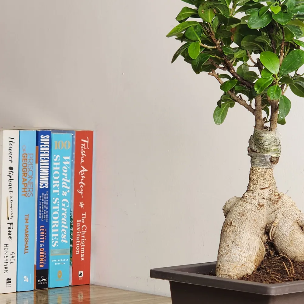 product-gallery