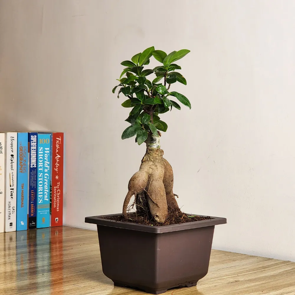 product-gallery