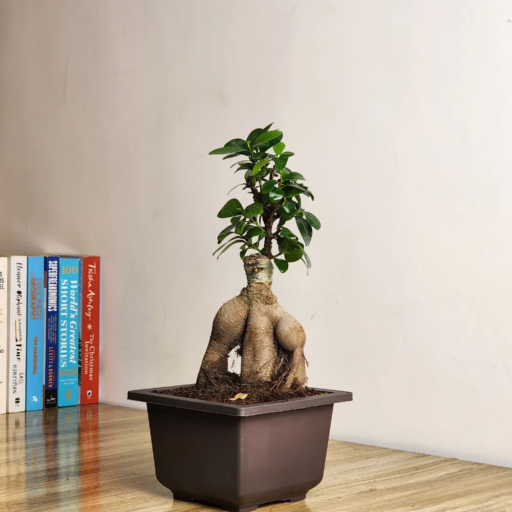 product-gallery