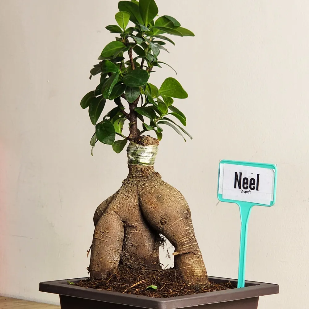 product-gallery