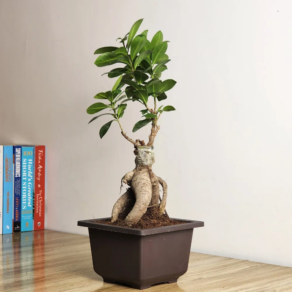 product-gallery