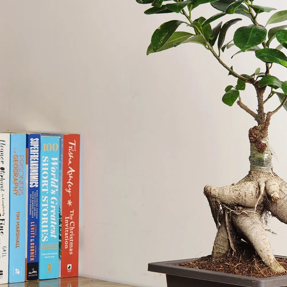product-gallery
