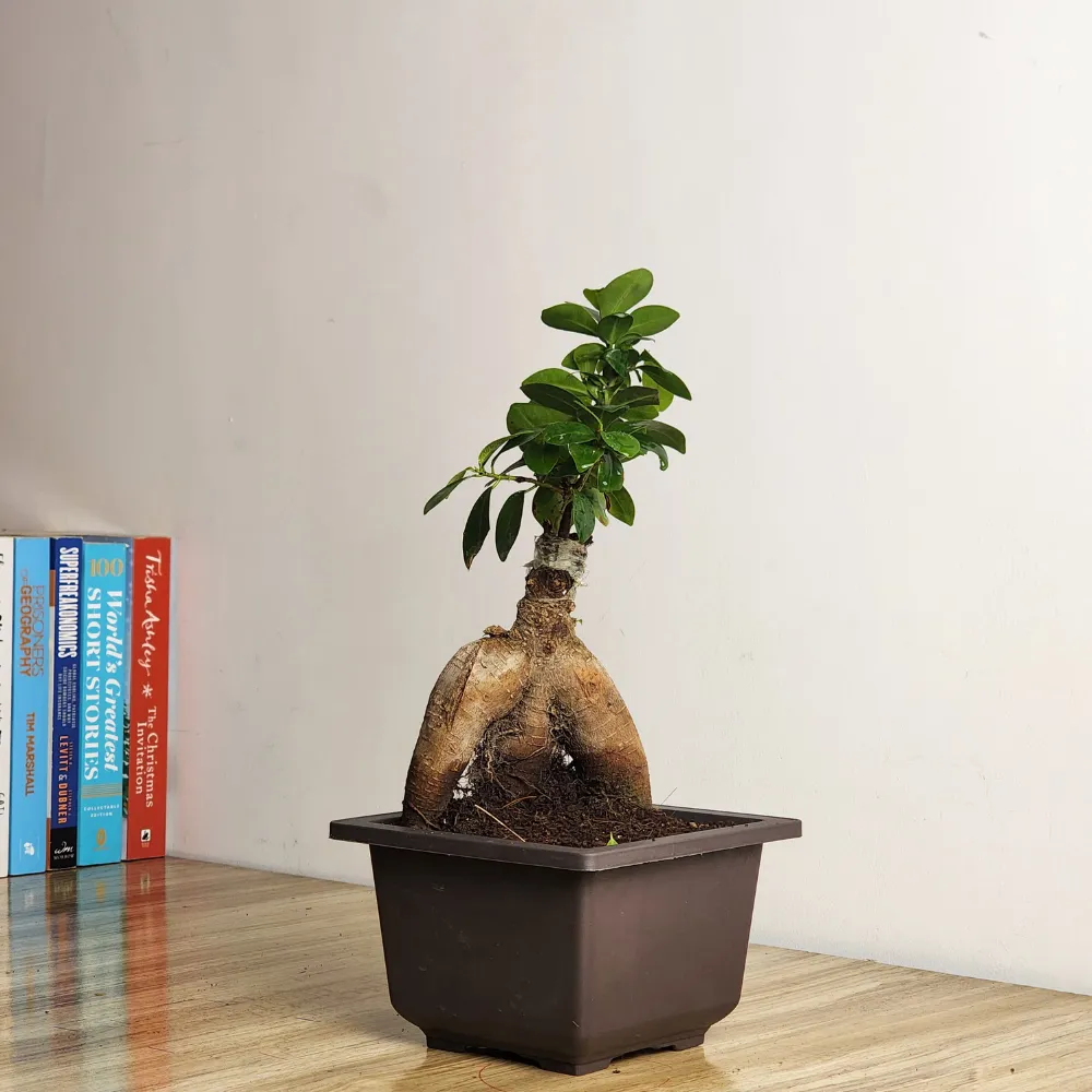 product-gallery