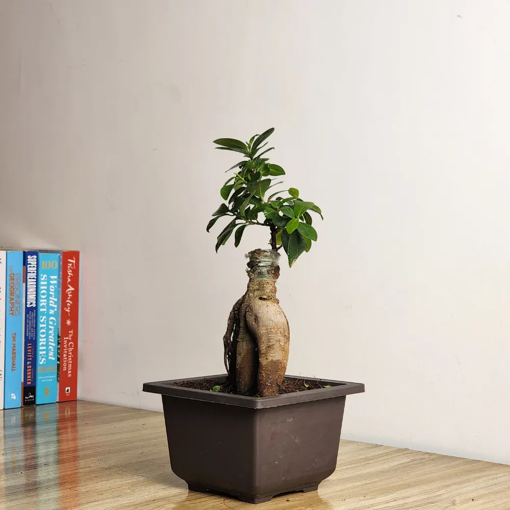 product-gallery
