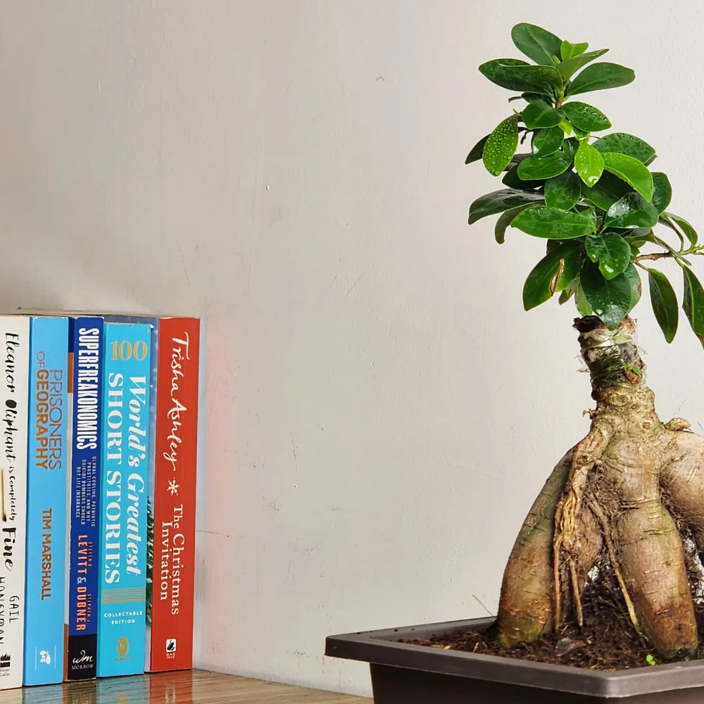 product-gallery