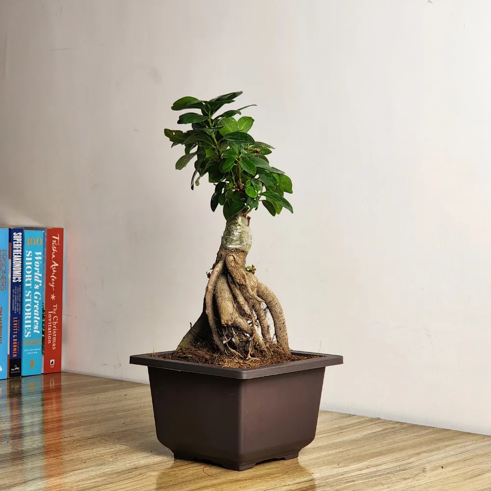 product-gallery