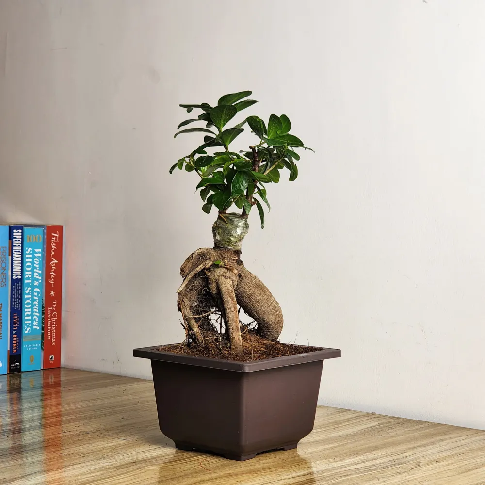 product-gallery