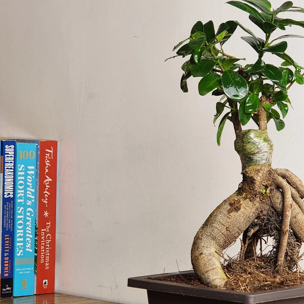 product-gallery