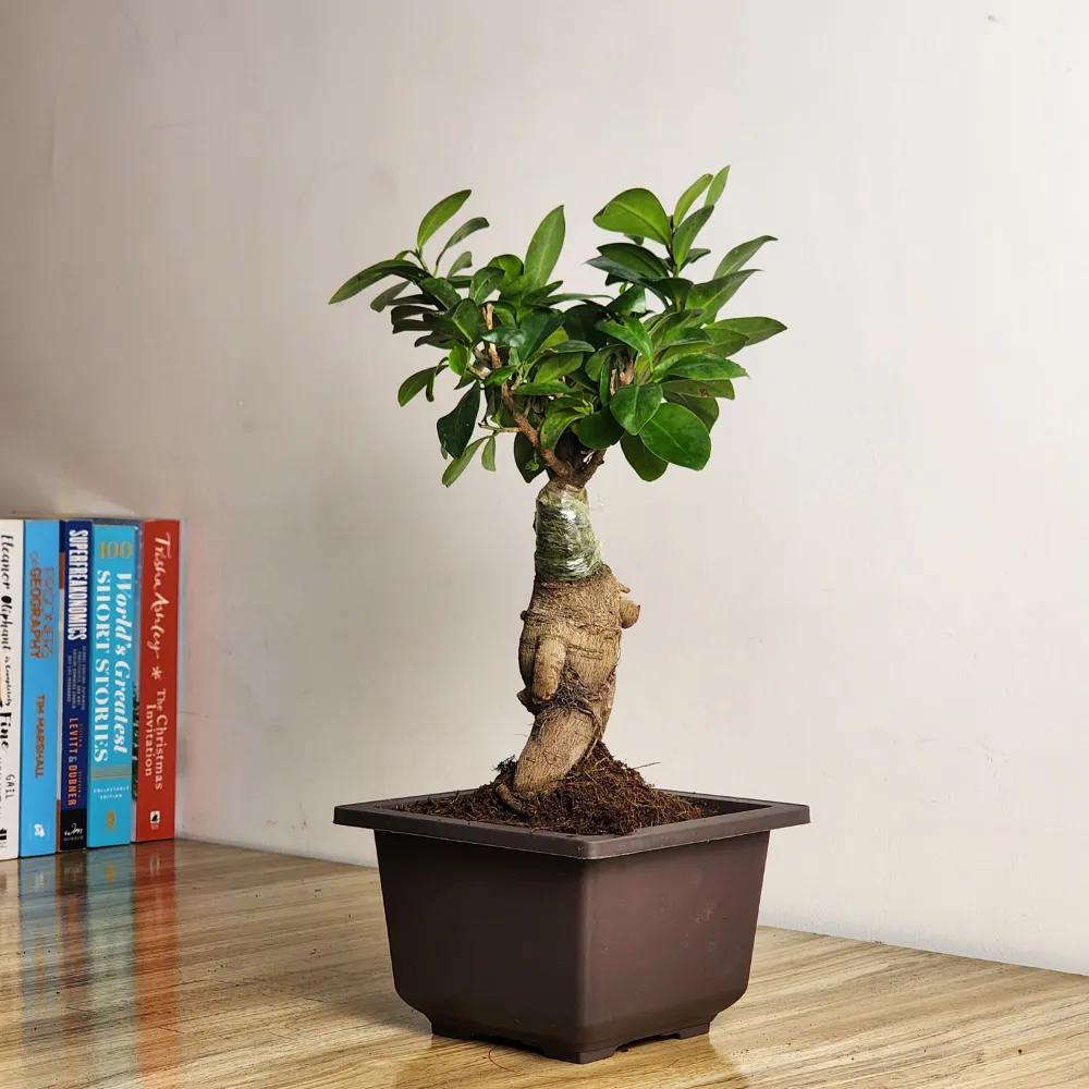 product-gallery