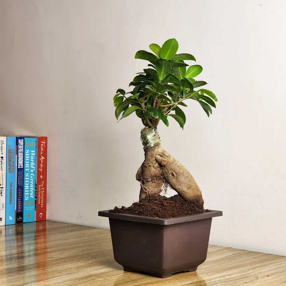 product-gallery
