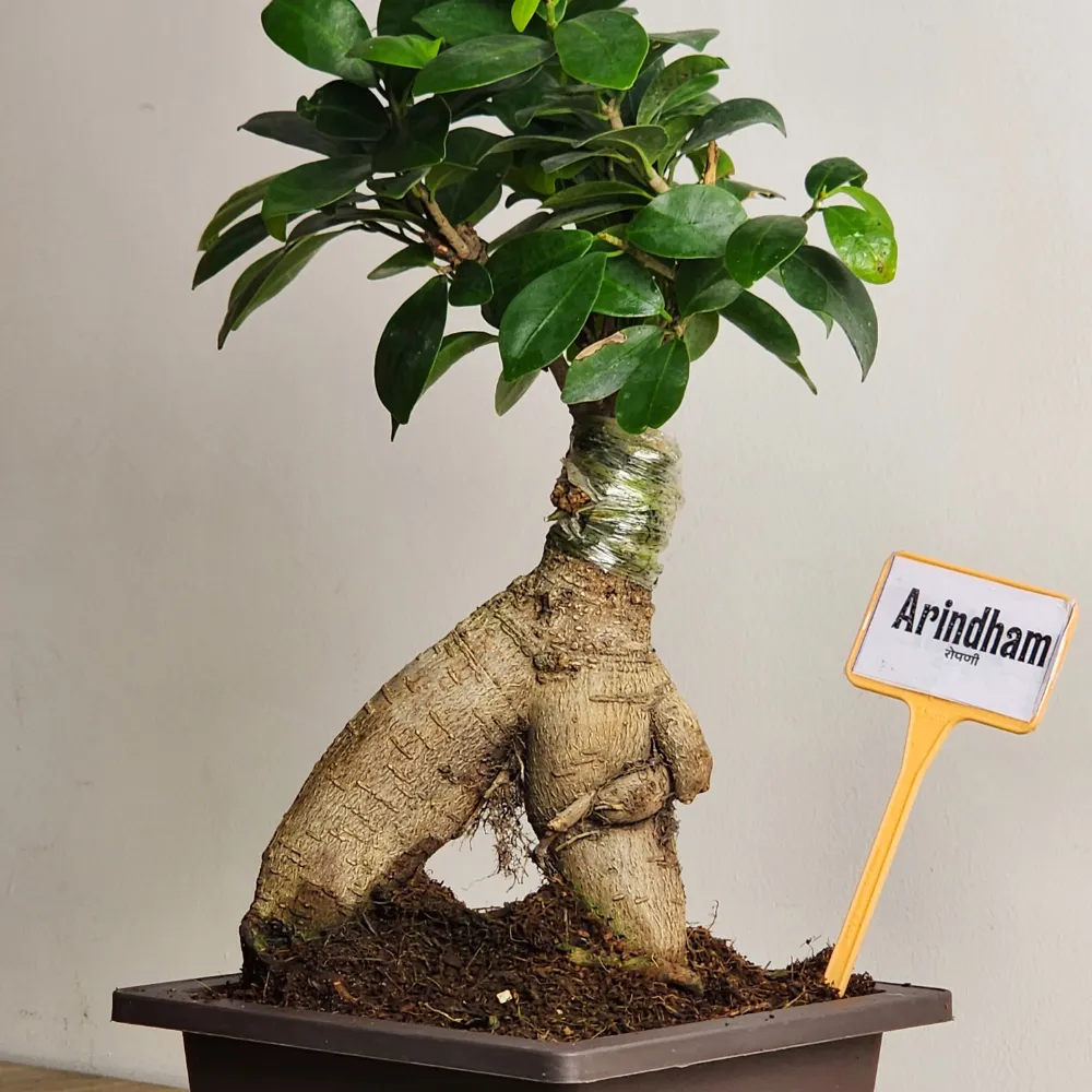 product-gallery