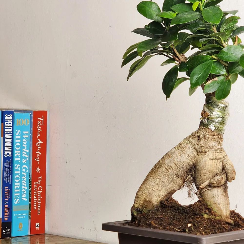 product-gallery