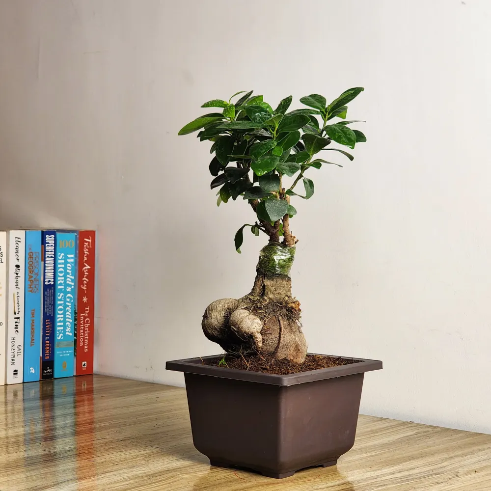 product-gallery