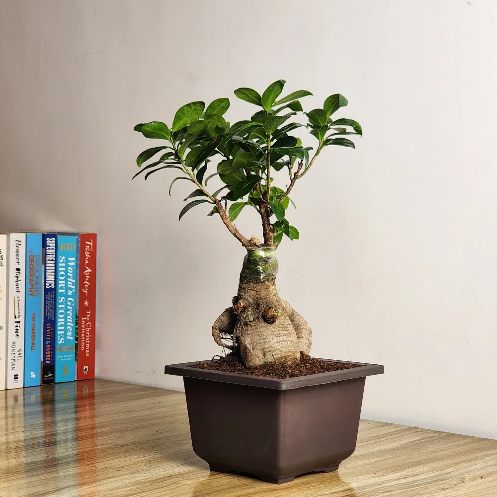 product-gallery