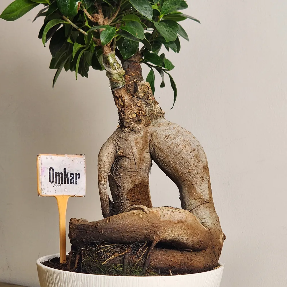 product-gallery