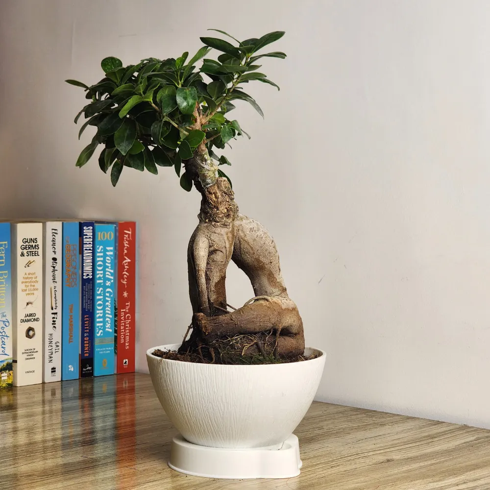 product-gallery