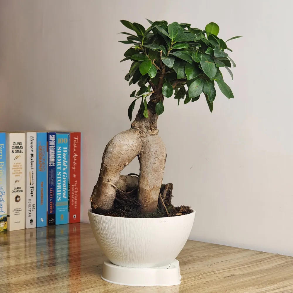 product-gallery