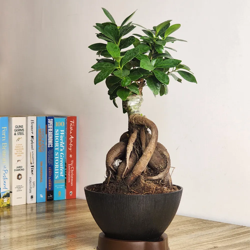 product-gallery