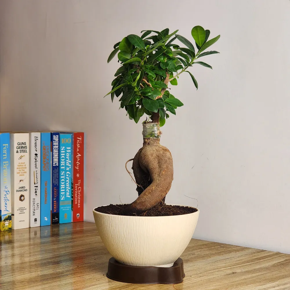 product-gallery