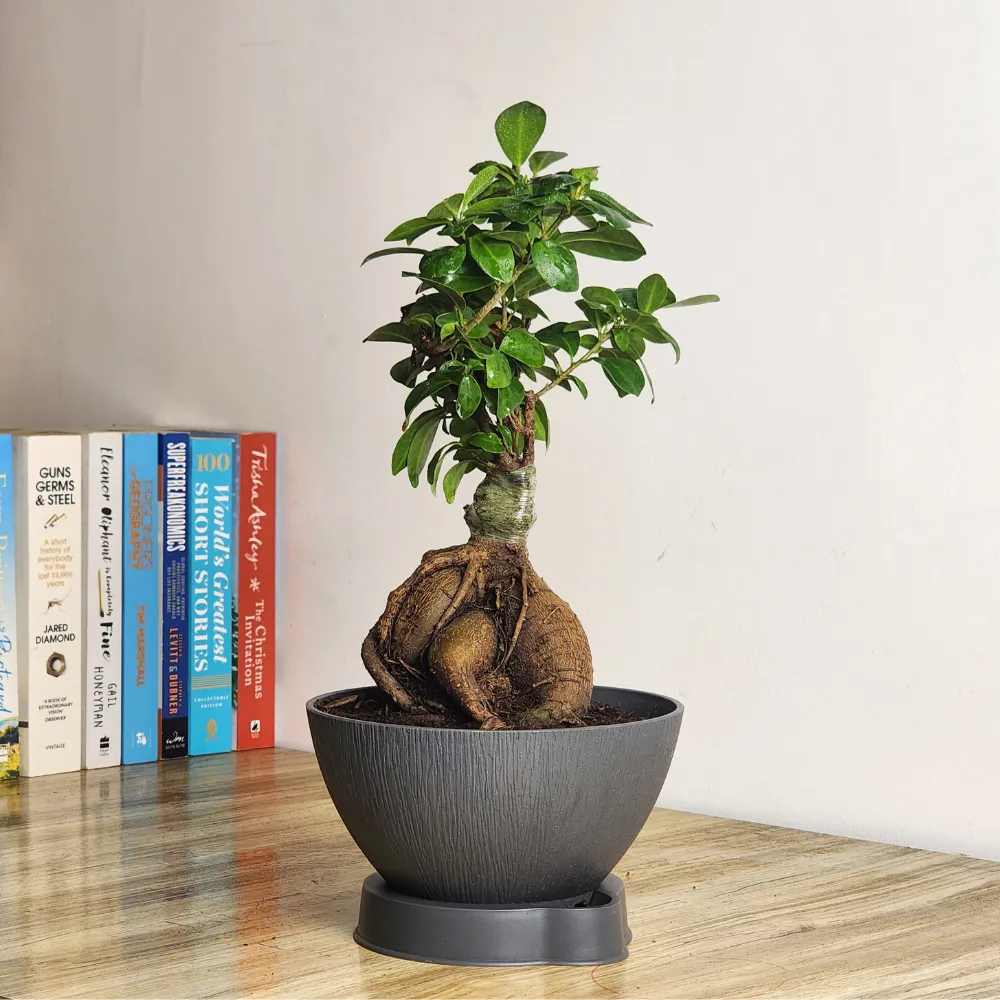 product-gallery
