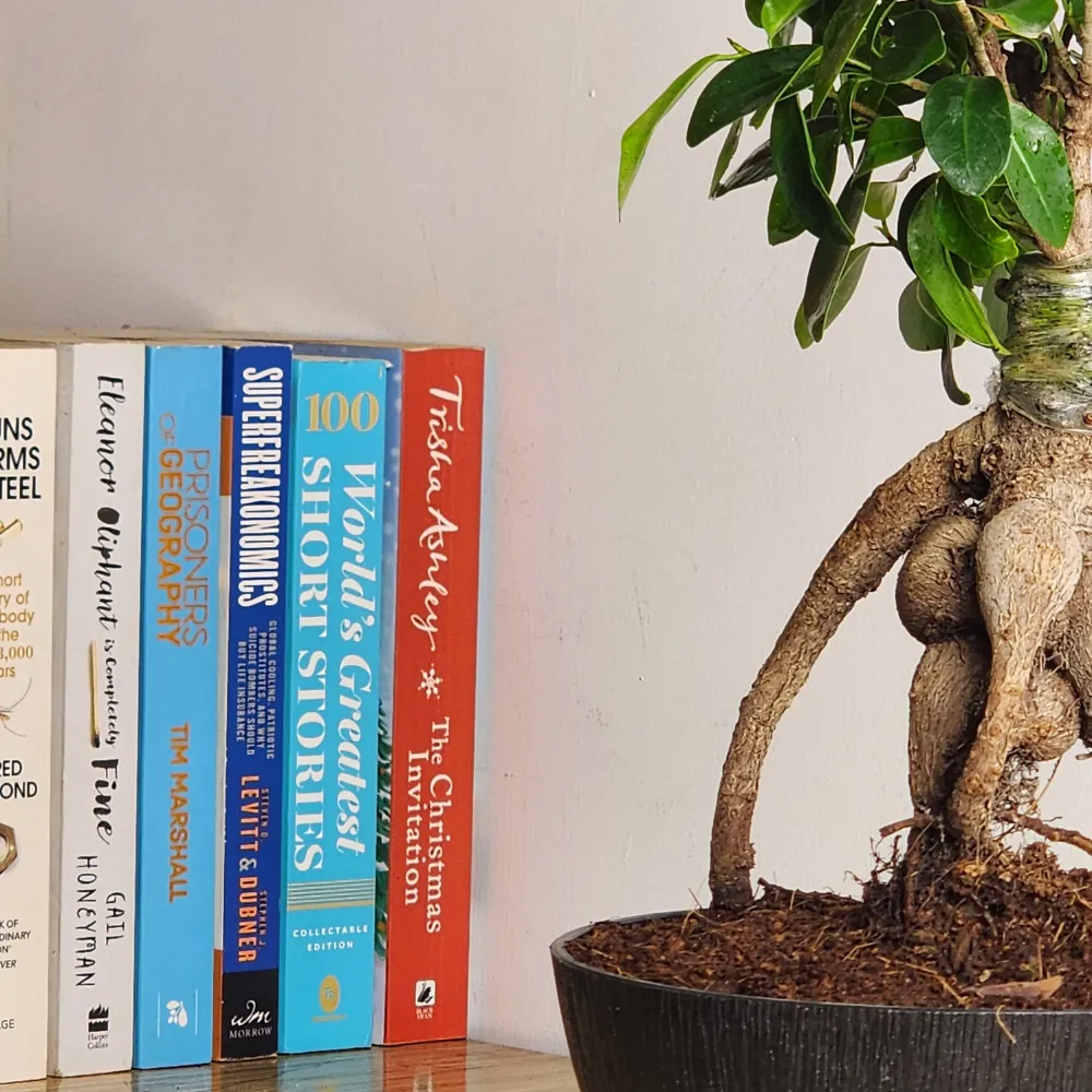 product-gallery